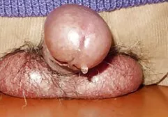 Affascinato sesso anale con mandingo dal seno e allargò le gambe.