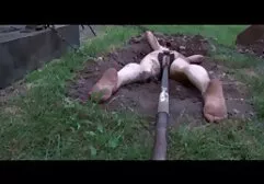 Giardiniere scopare anale lesbico la bionda gemette.