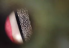 Un insegnante dagli Stati Uniti scopa il suo studente in classe. anale estremo video