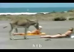 Capezzoli sesso anale video amatoriale dopo un massaggio.